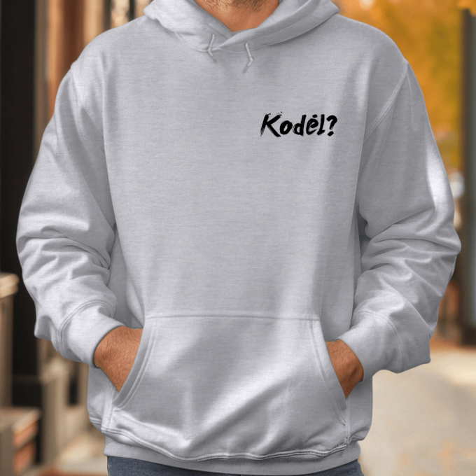 Unisex džemperis su spauda „Kodėl?“
