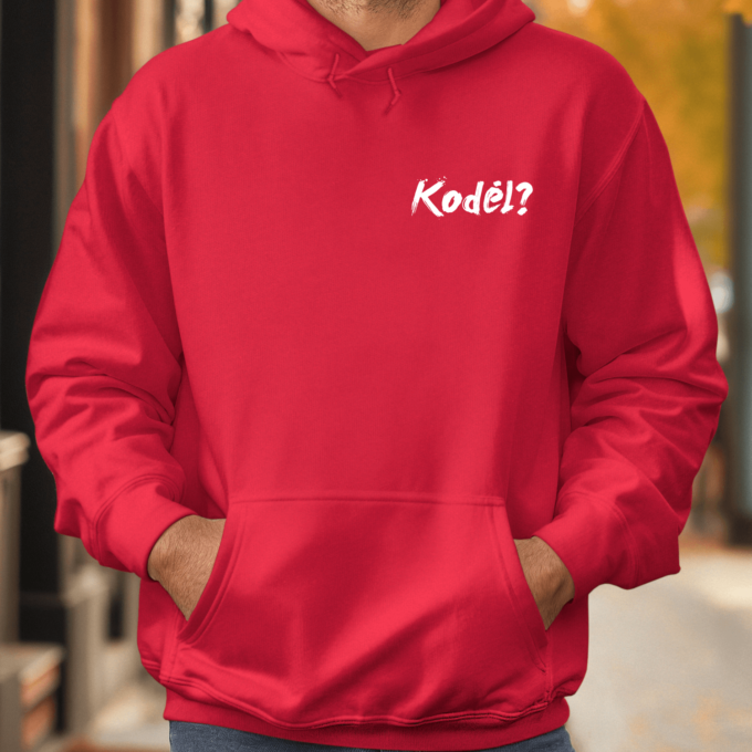 Unisex džemperis su spauda „Kodėl?“ - Image 3