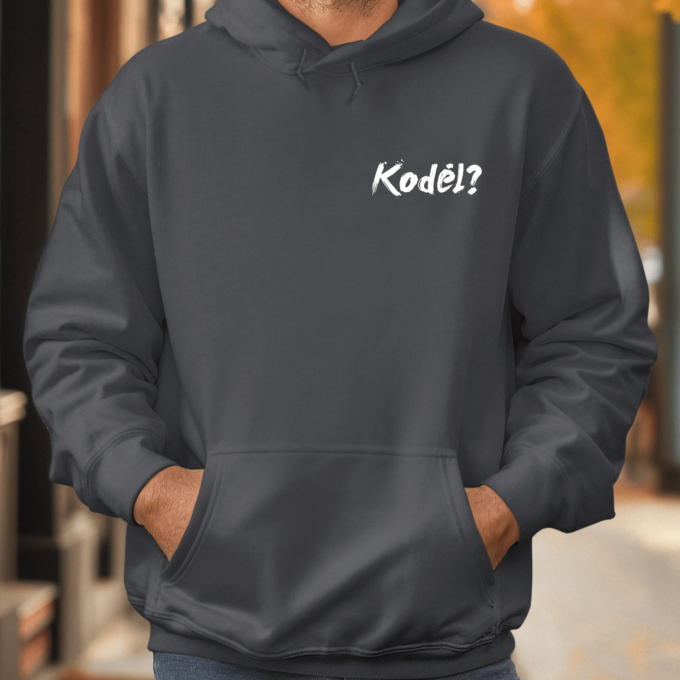 Unisex džemperis su spauda „Kodėl?“ - Image 2